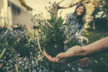 Cómo abrir una empresa de jardinería 1